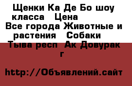 Щенки Ка Де Бо шоу класса › Цена ­ 60 000 - Все города Животные и растения » Собаки   . Тыва респ.,Ак-Довурак г.